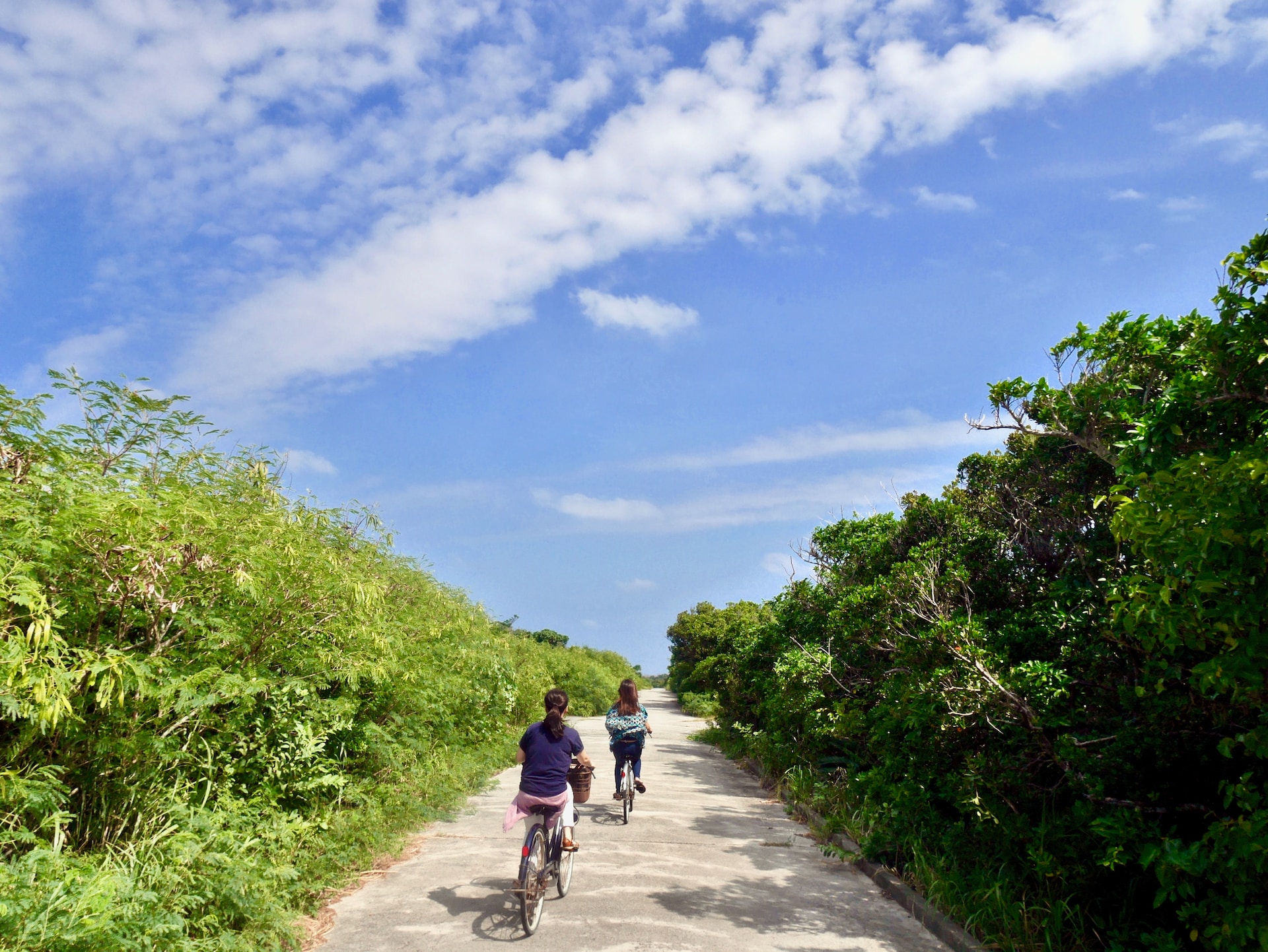 Pista ciclabile