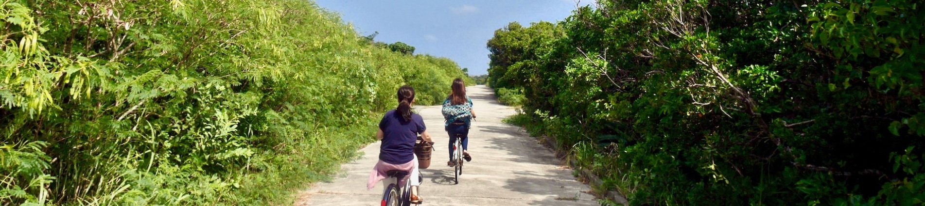 Pista ciclabile Pista ciclabile