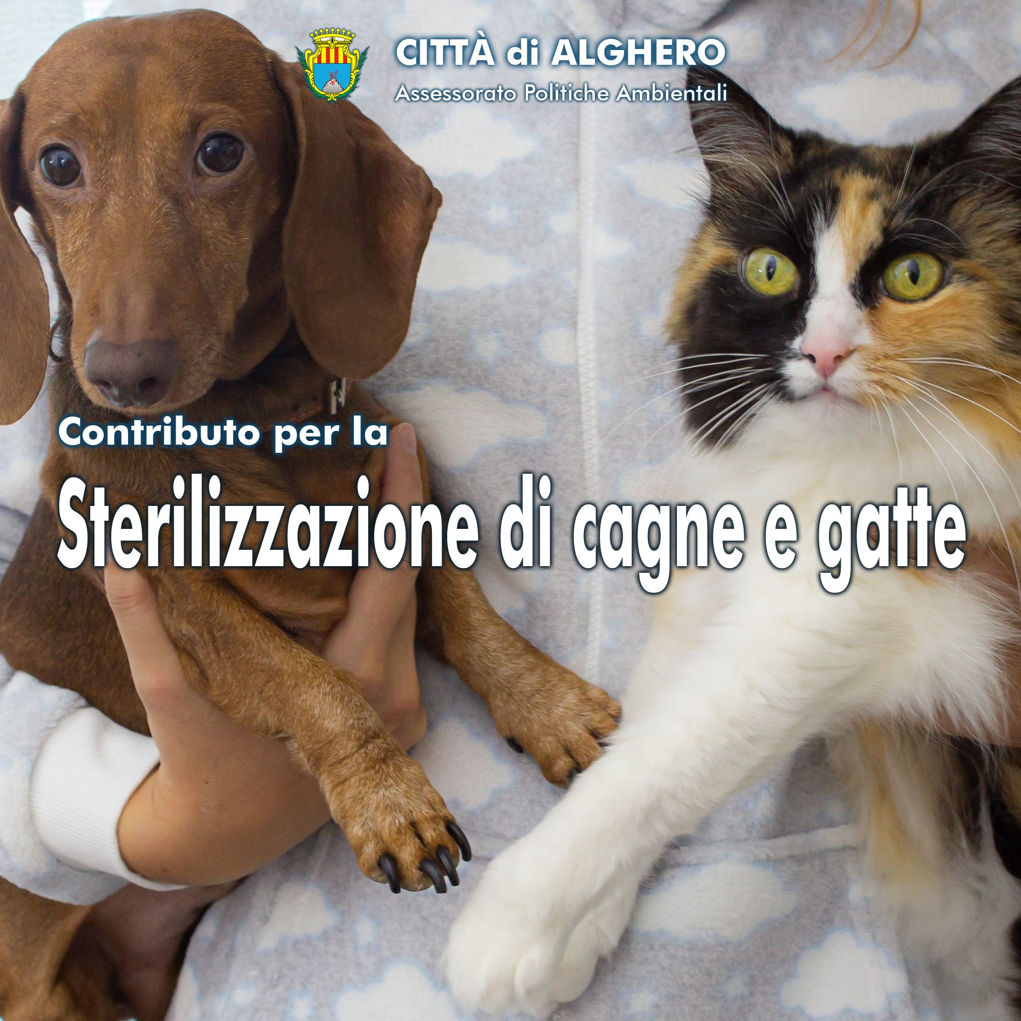 sterilizzazioni 