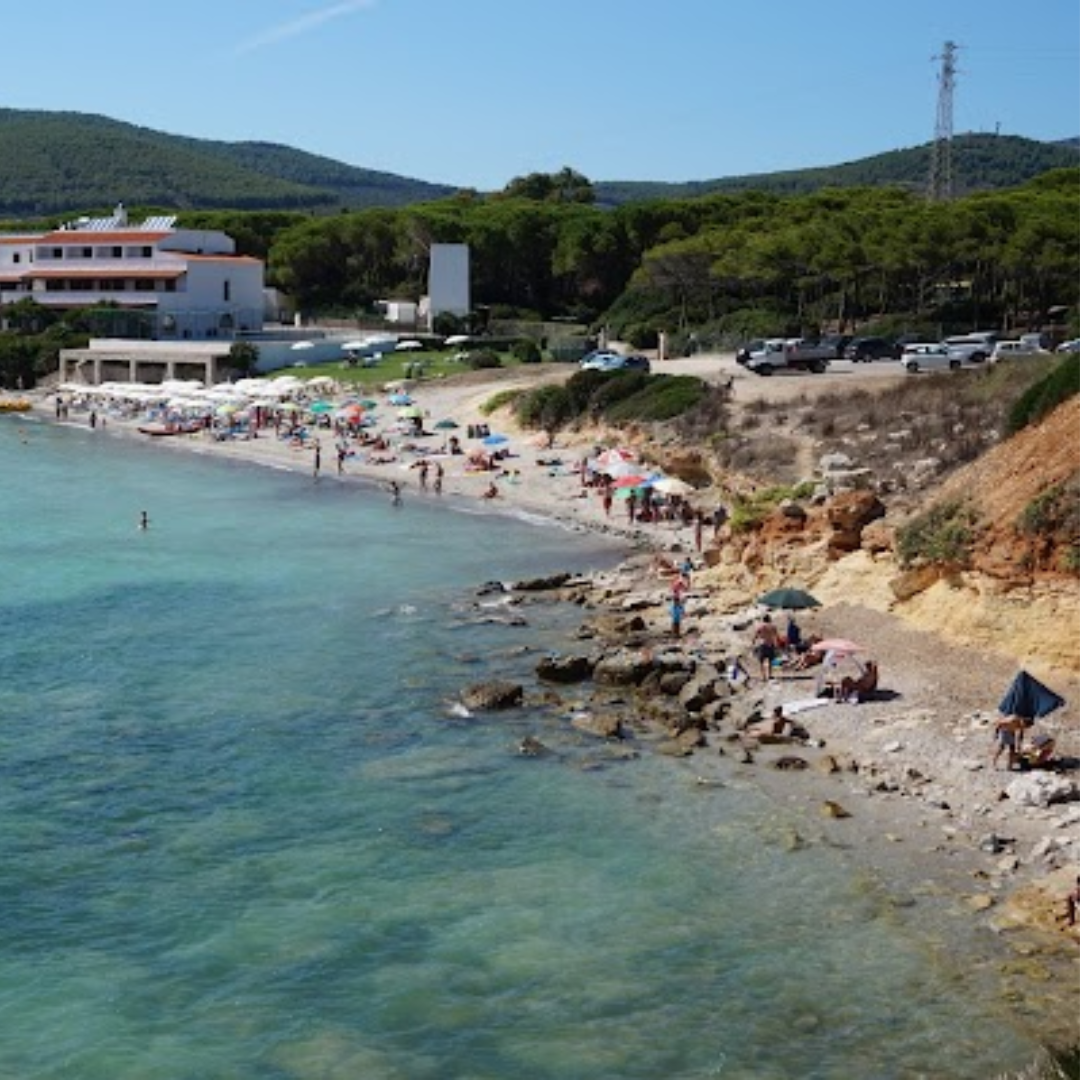 Punta Negra