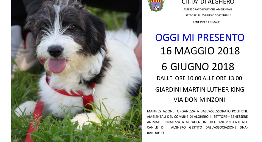 Oggi mi presento Oggi mi presento