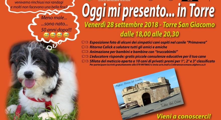 Oggi mi presento...in Torre Oggi mi presento...in Torre