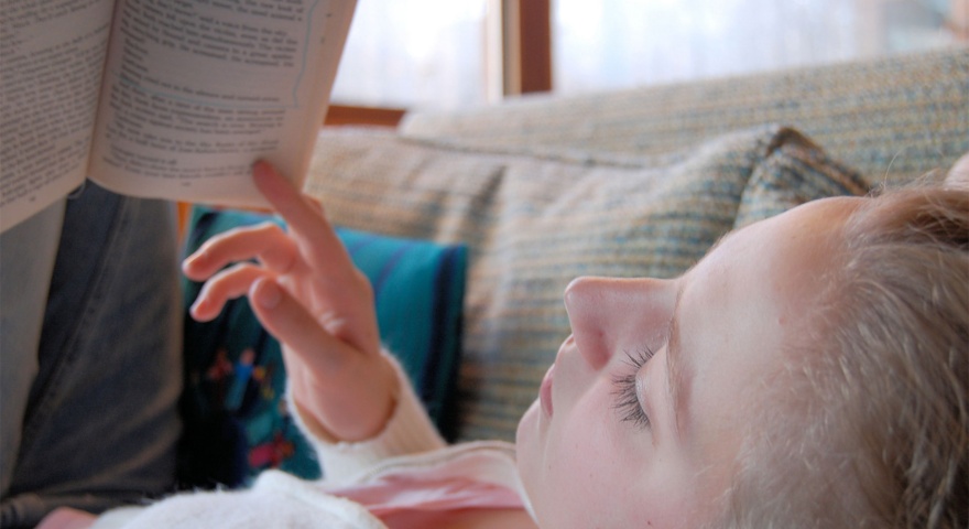 Albo dei rivenditori dei libri di testo per la scuola primaria Albo dei rivenditori dei libri di testo per la scuola primaria