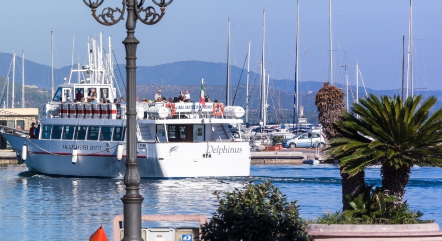 Corallo rosso, stop alle imitazioni  Corallo rosso, stop alle imitazioni