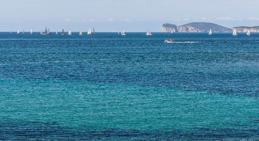 Ippoterapia, domande entro il 29 gennaio  Ippoterapia, domande entro il 29 gennaio