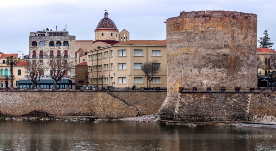 Le mostre in Torre Sulis Le mostre in Torre Sulis